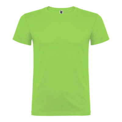 Camiseta beagle verde oasis t.xl