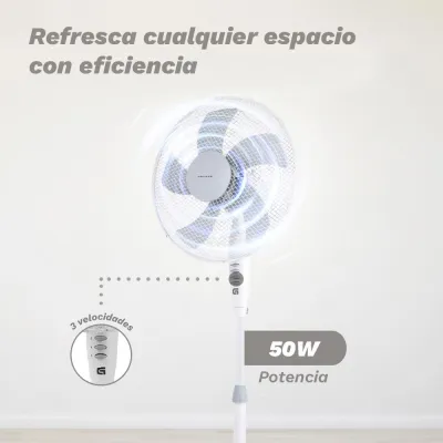 Imagen adicional