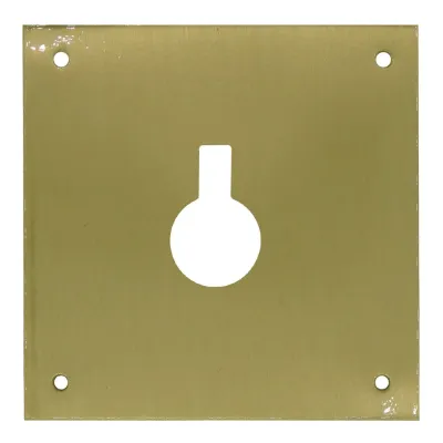 Placa bocallave, cerrojo, modelo plp14, de latón con acabado latón satinado, 80 x 80 mm